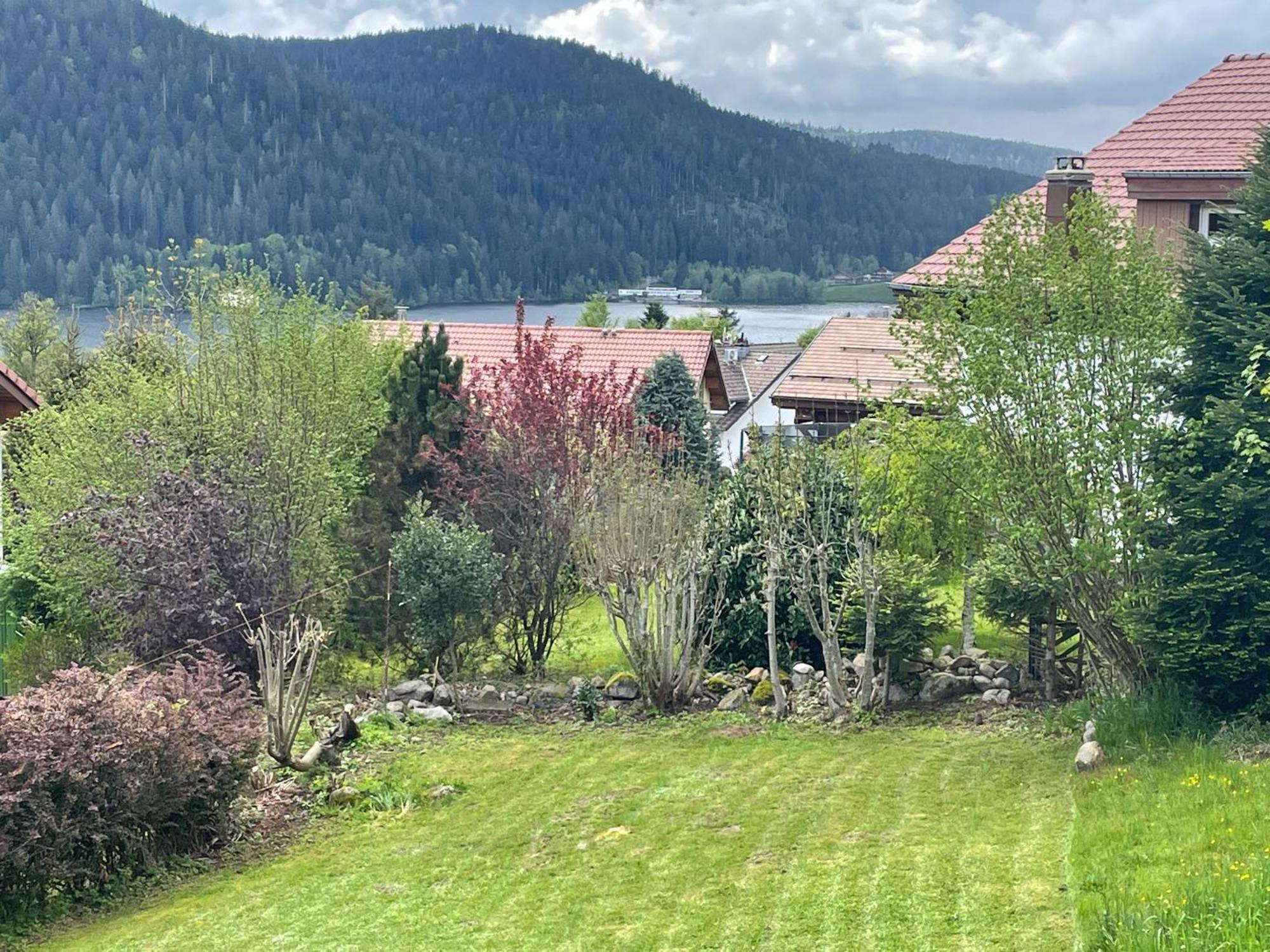 Le Chalet De Juliette Gerardmer Exterior photo
